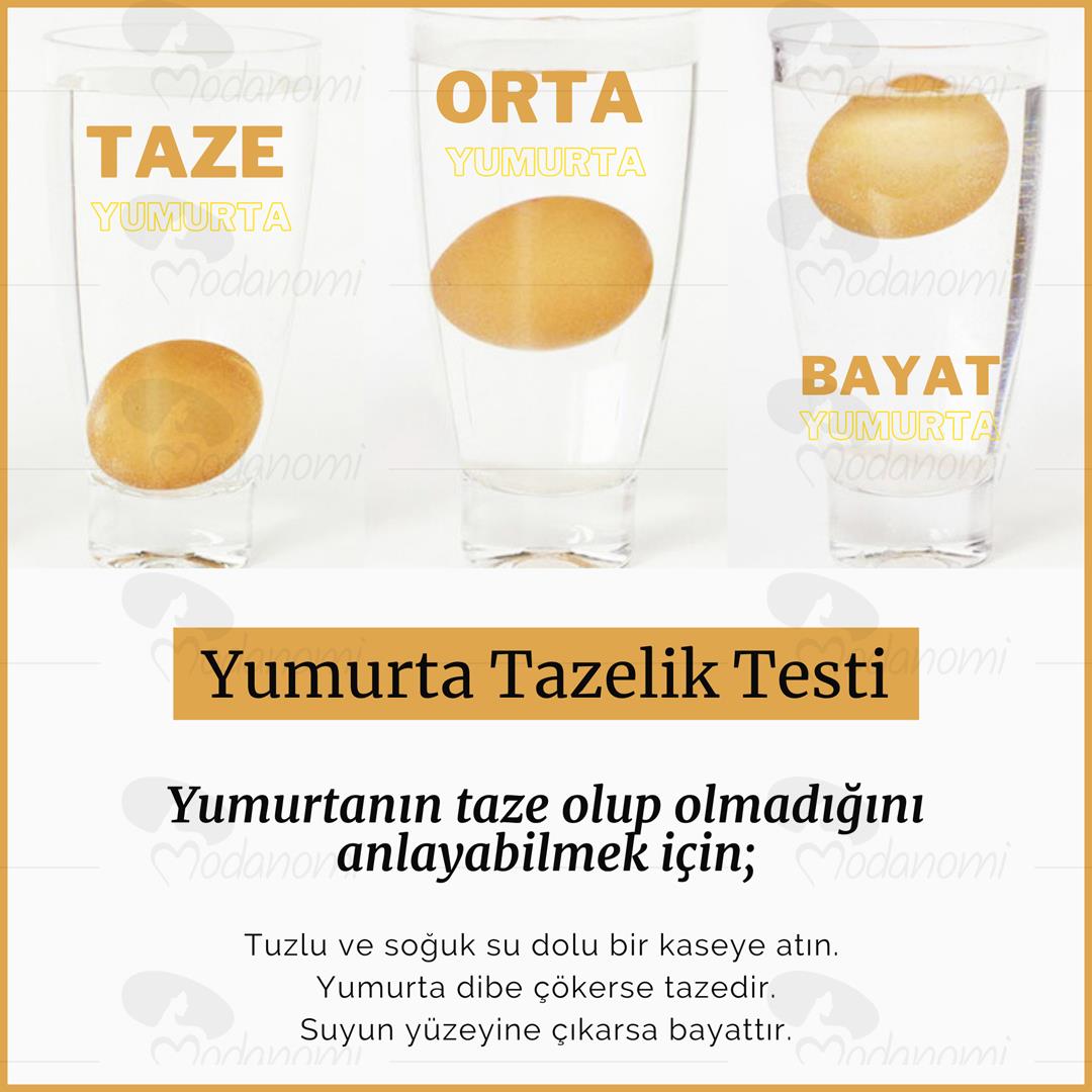 Yumurta Tazelik Testi